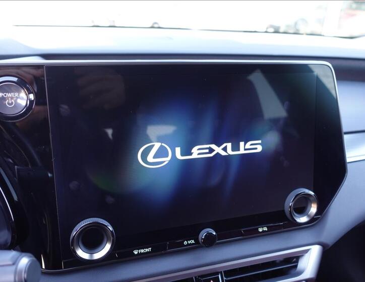 Lexus RX 500h 19