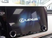 Lexus LM 350h 21