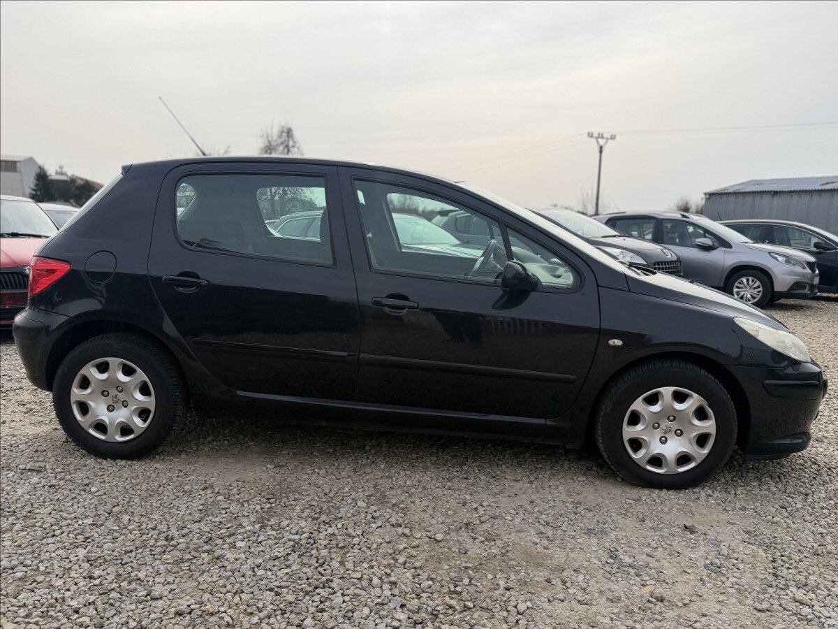 Peugeot 307 Hatchback 1,6 l 80 kw