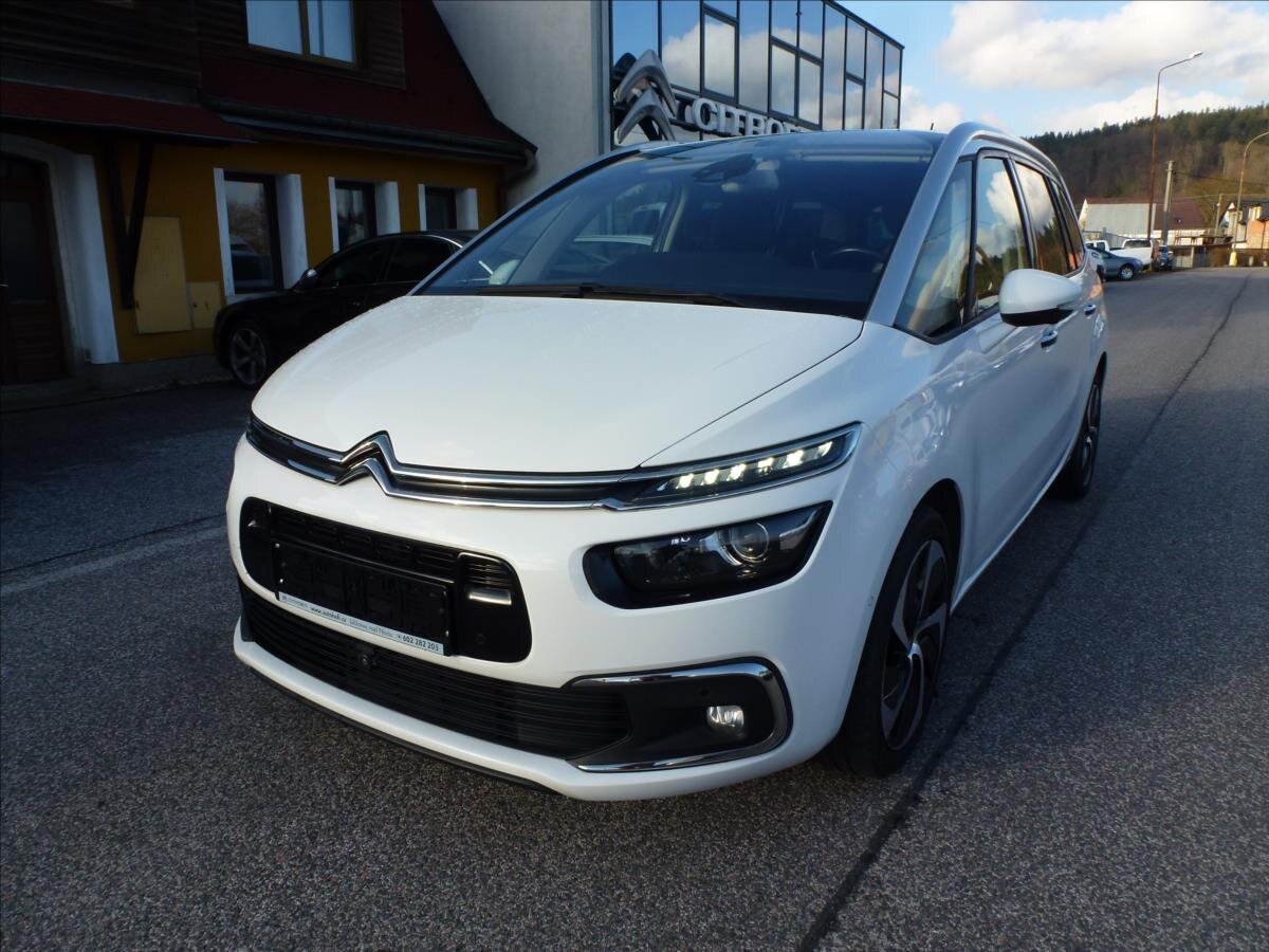 Citroën Grand C4 Picasso Kombi 2,0 l 110 kw