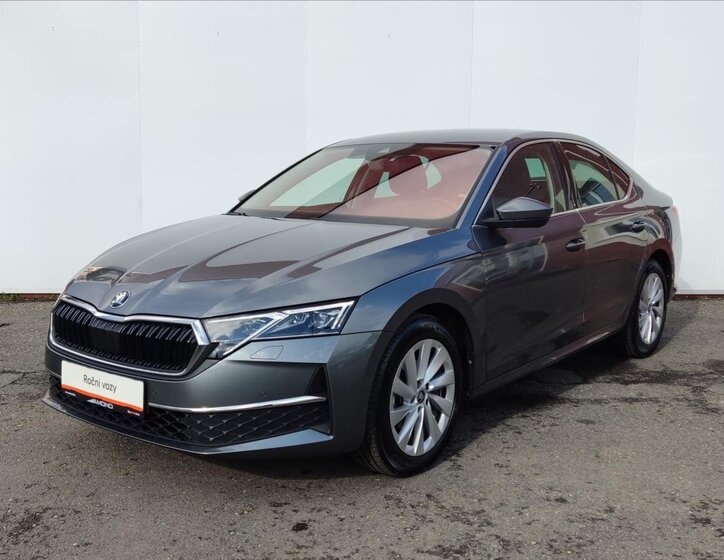 Škoda Octavia Liftback 2,0 l 110 kw
