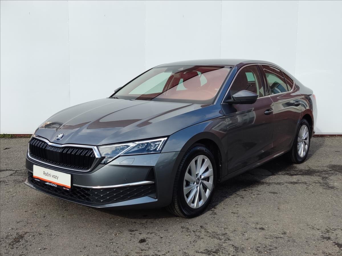 Škoda Octavia Liftback 2,0 l 110 kw