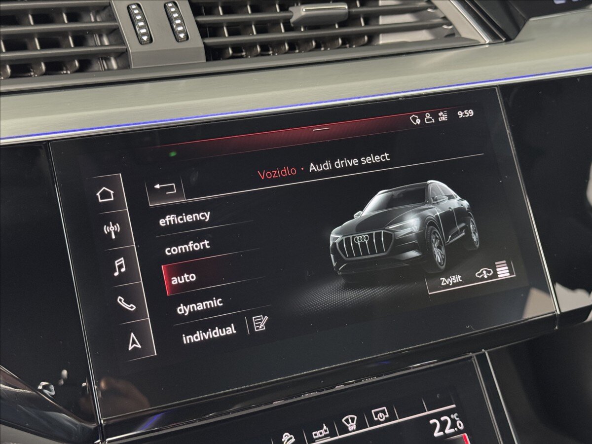 Audi e-tron SUV / Terénní 0,0 300 kw