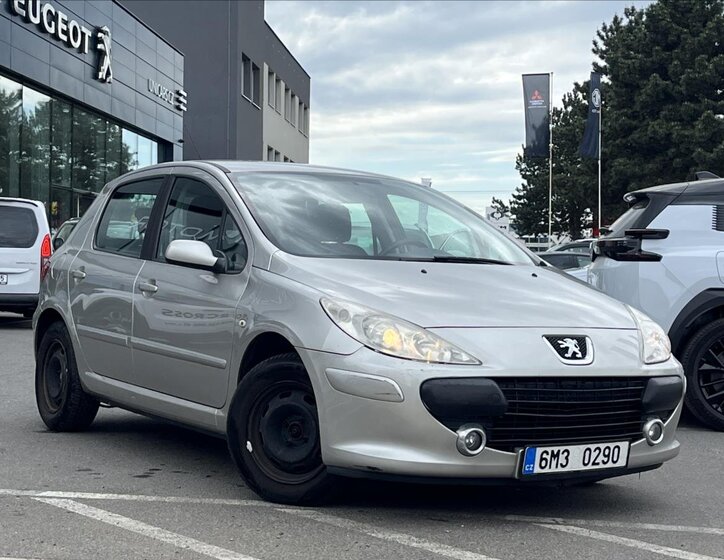 Peugeot 307 Hatchback 1,4 l 65 kw