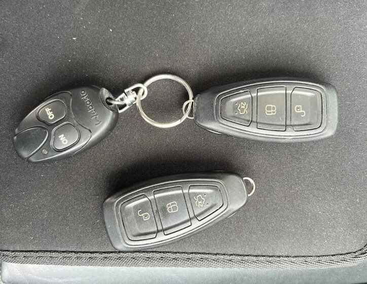 Ford S-MAX MPV 2,0 l 176 kw