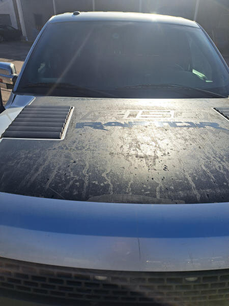 Ford F-150 Pick-up 6,2 l 306 kw