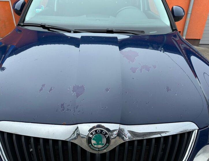 Škoda Yeti MPV 2,0 l 81 kw