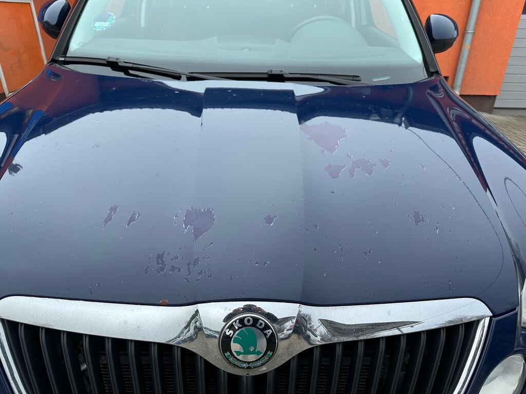 Škoda Yeti MPV 2,0 l 81 kw