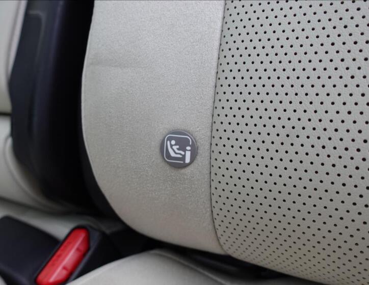 Lexus RX 450h plus 39