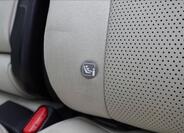 Lexus RX 450h plus 39