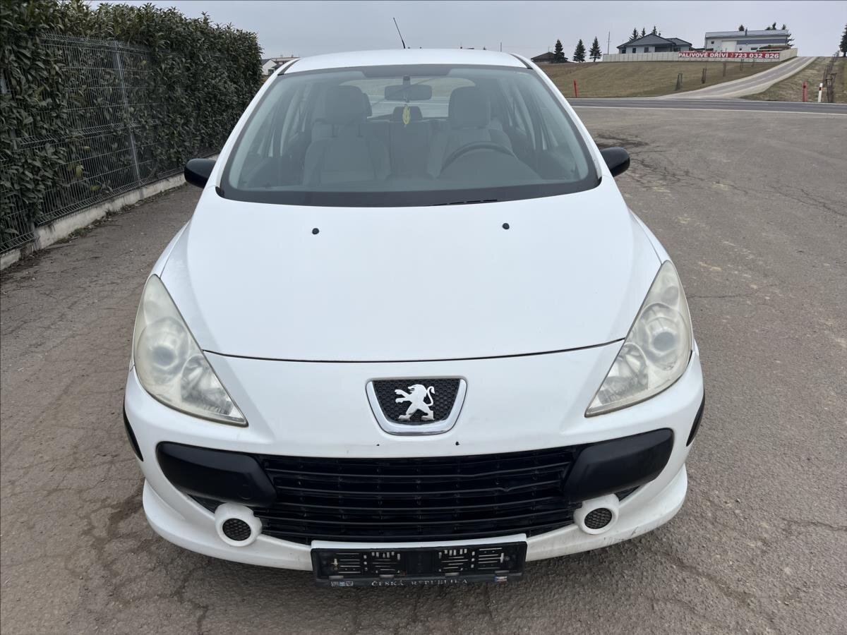 Peugeot 307 Hatchback 1,4 l 65 kw