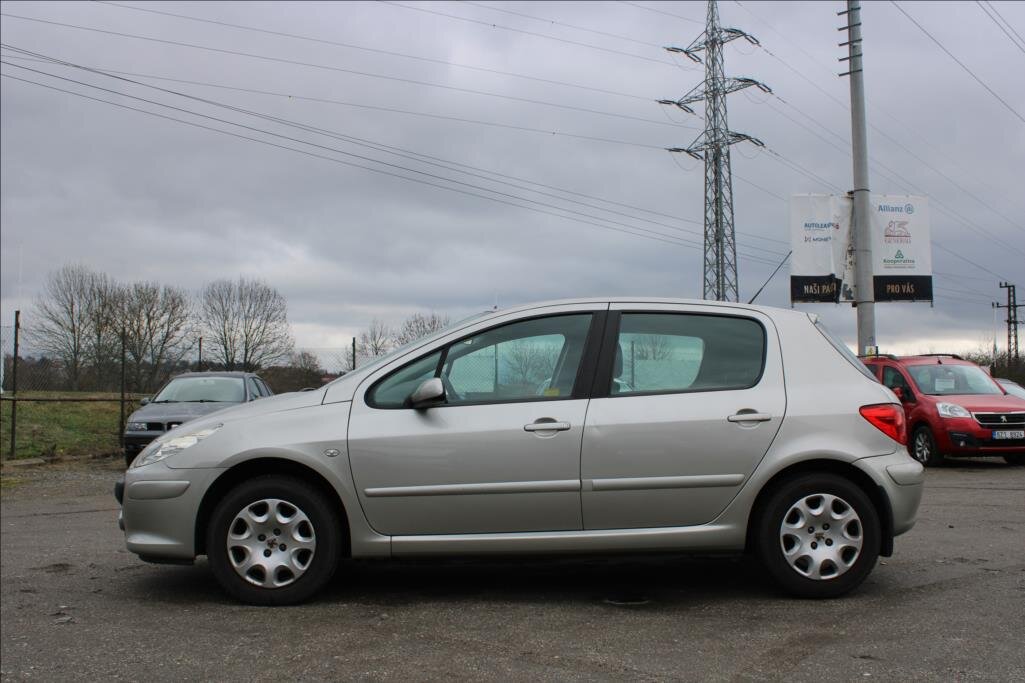 Peugeot 307 Hatchback 1,6 l 66 kw