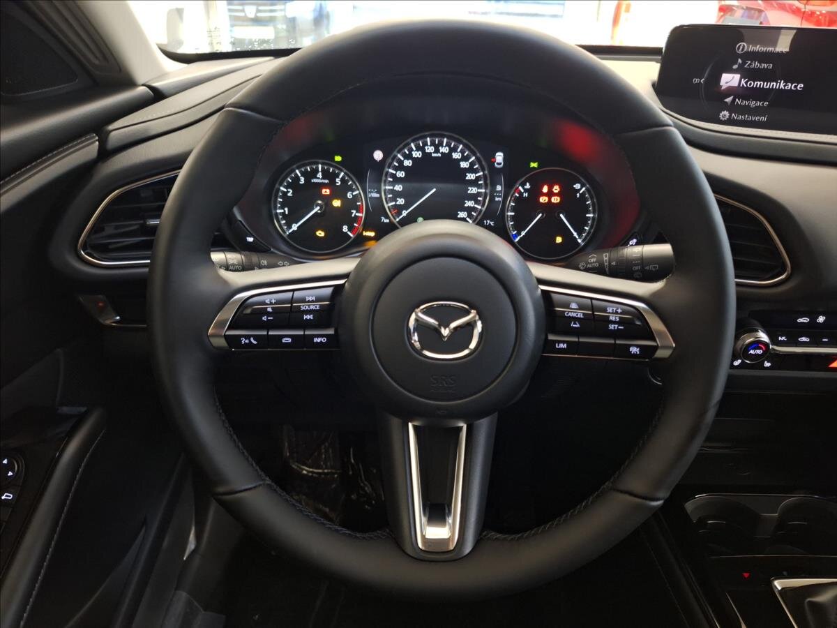 Mazda CX-30 SUV 2,5 l 103 kw