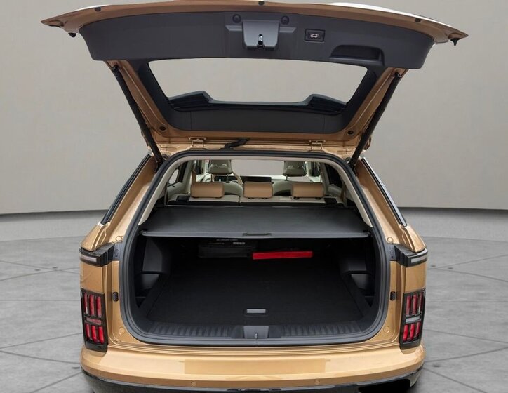 Ostatní Ostatní SUV 1,5 l 120 kw