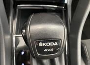 Škoda Kodiaq 19