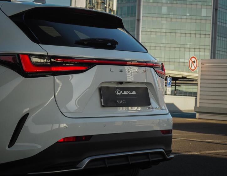 Lexus NX 450h plus 17