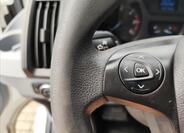 Ford Transit 19